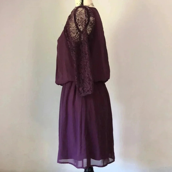 Sprecklers Lace Dress - Picture 4 of 7